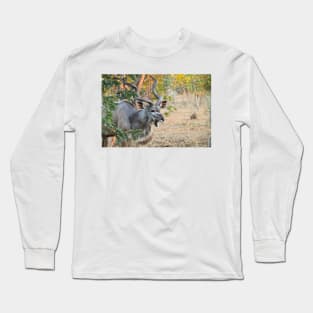 Male Kudu Close Up, Botswana, Africa Long Sleeve T-Shirt